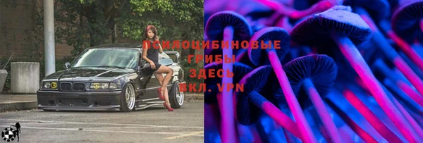 ALPHA PVP Ладушкин