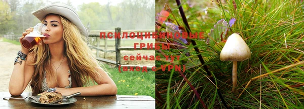 ALPHA PVP Ладушкин