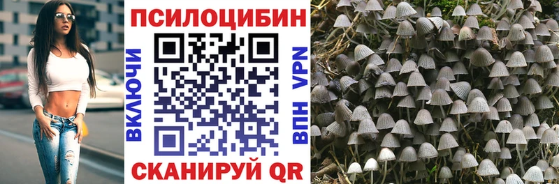 Купить  Благовещенск  Псилоцибиновые грибы ЛСД 